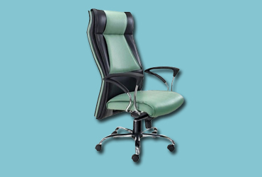 Ergonomic Chairs