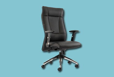 Luxury Leather Chairs